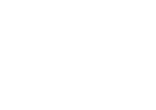 Raalte Geeft Ruimte - Logo - Hompage